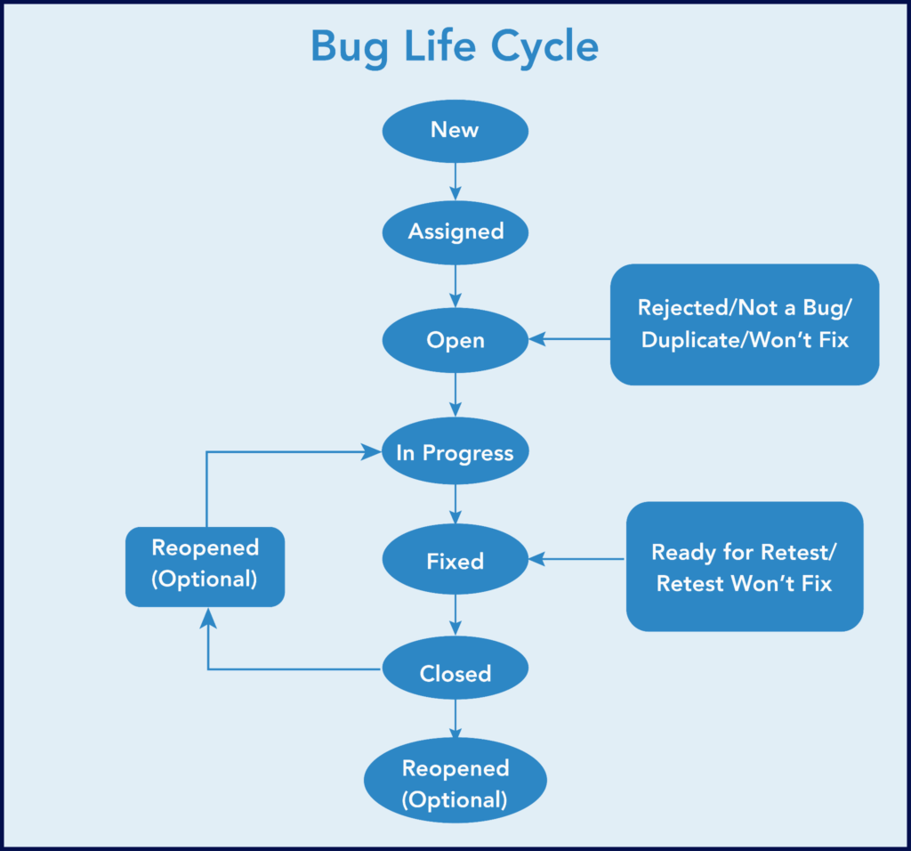 Stages of the bug life cycle